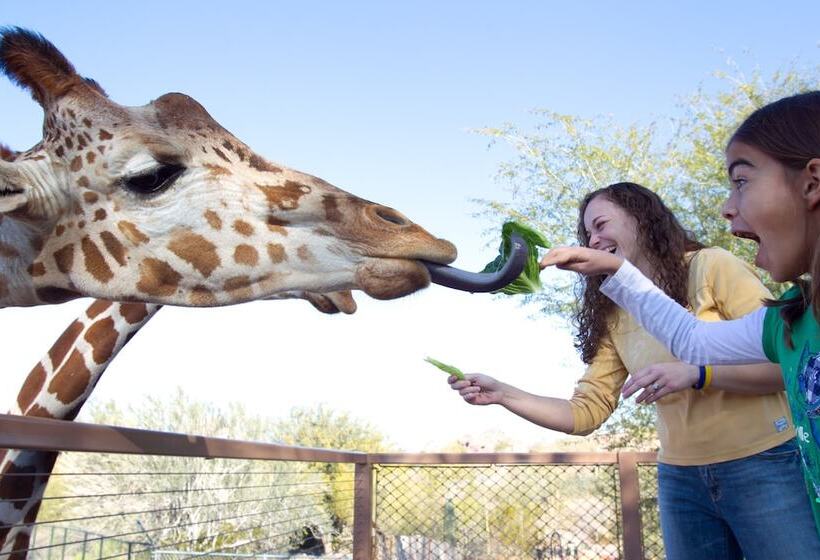 酒店 Crowne Plaza Phoenix Airport   Phx, An Ihg