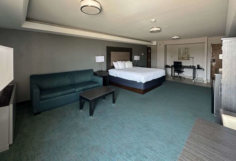 Отель Comfort Inn Dallas North Love Field Airport