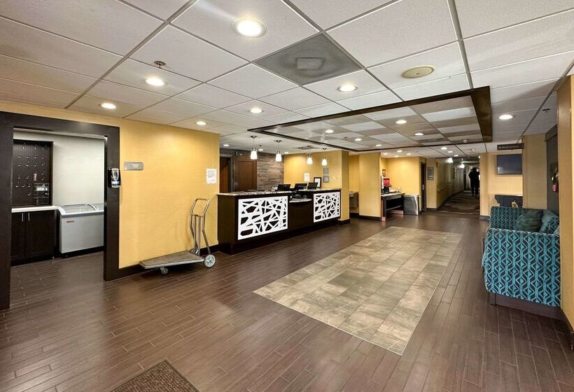 Отель Comfort Inn Dallas North Love Field Airport