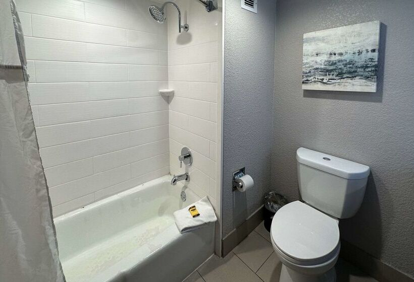 Отель Comfort Inn Dallas North Love Field Airport