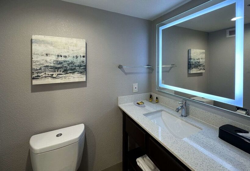 Отель Comfort Inn Dallas North Love Field Airport