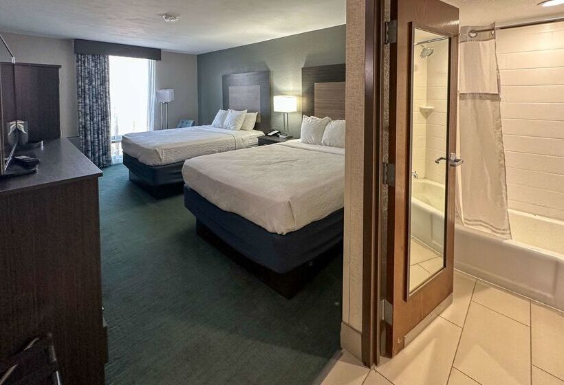 Отель Comfort Inn Dallas North Love Field Airport