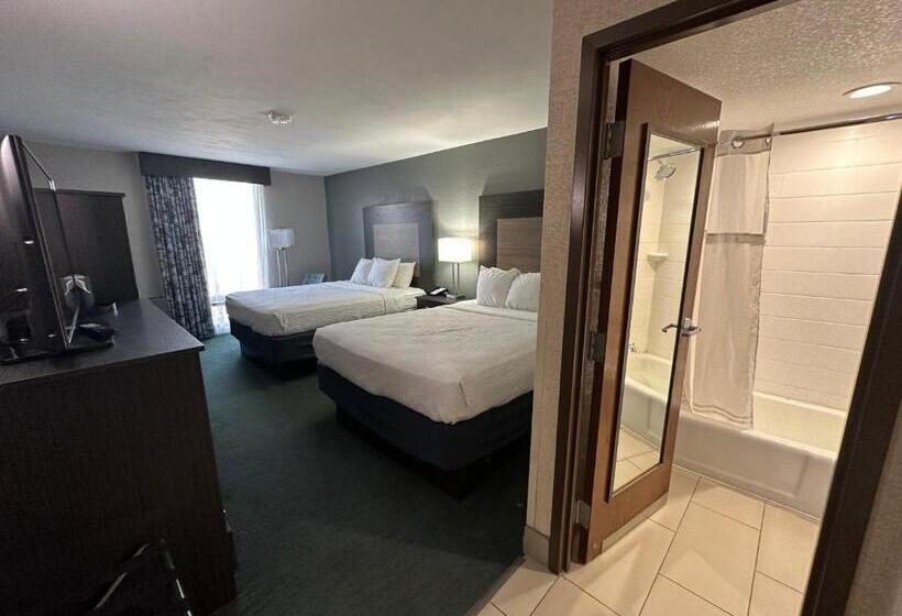 Отель Comfort Inn Dallas North Love Field Airport