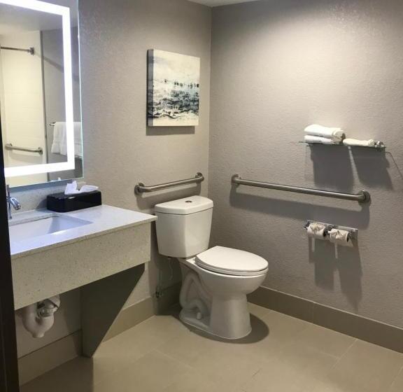 Отель Comfort Inn Dallas North Love Field Airport