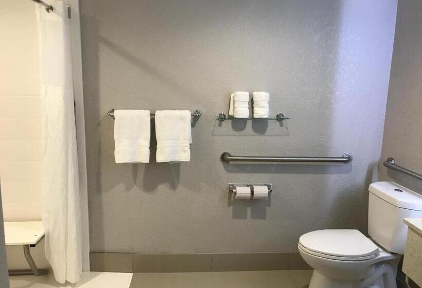 Отель Comfort Inn Dallas North Love Field Airport