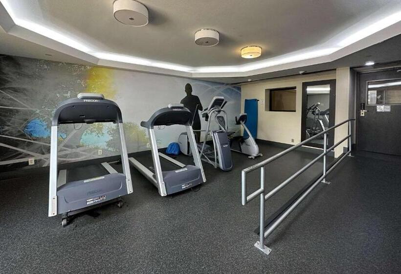 Отель Comfort Inn Dallas North Love Field Airport