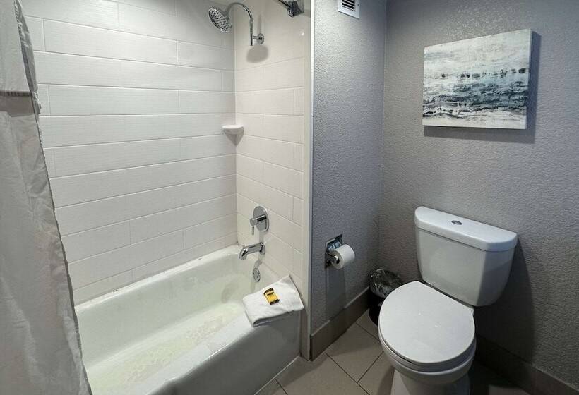 Отель Comfort Inn Dallas North Love Field Airport