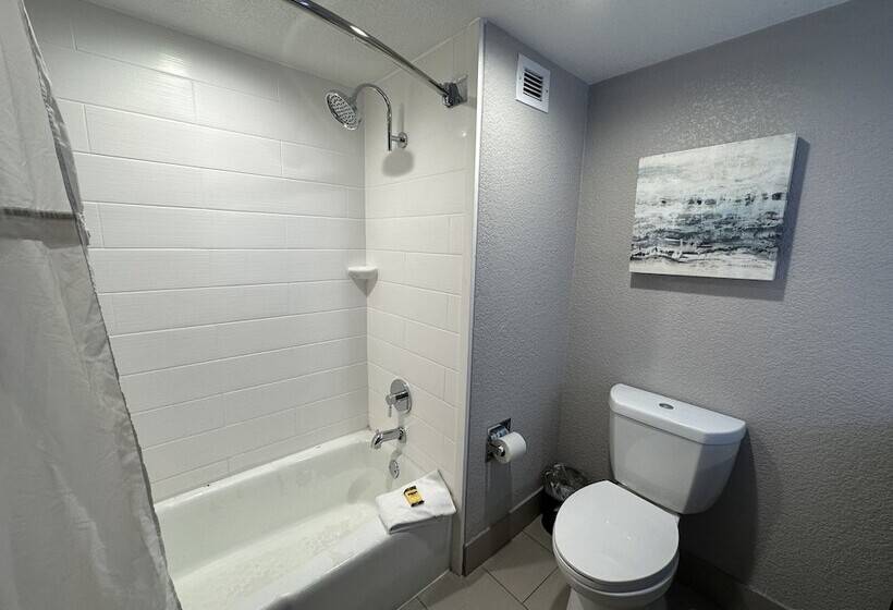 Отель Comfort Inn Dallas North Love Field Airport