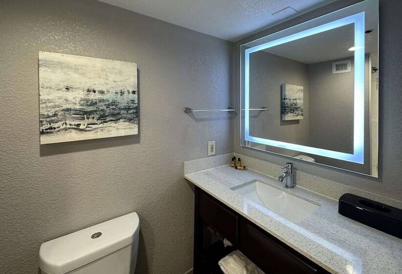 Отель Comfort Inn Dallas North Love Field Airport