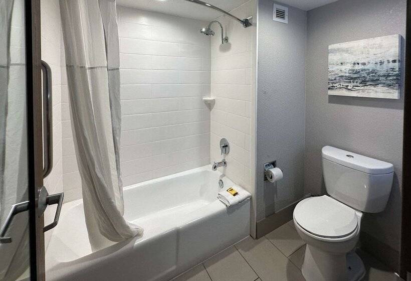 Отель Comfort Inn Dallas North Love Field Airport