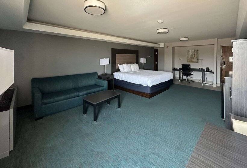 Отель Comfort Inn Dallas North Love Field Airport