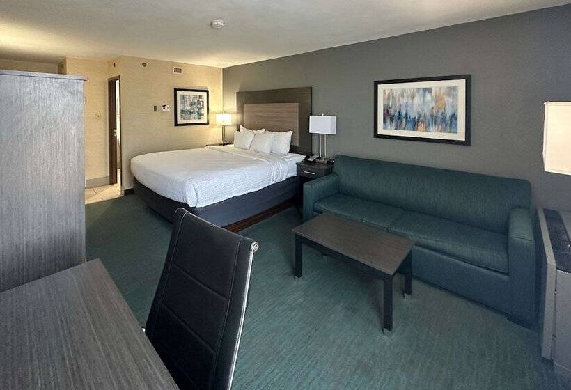 Отель Comfort Inn Dallas North Love Field Airport