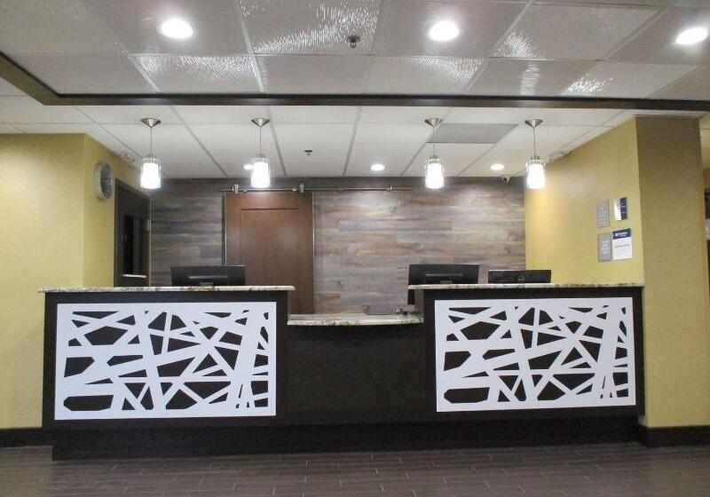 Отель Comfort Inn Dallas North Love Field Airport