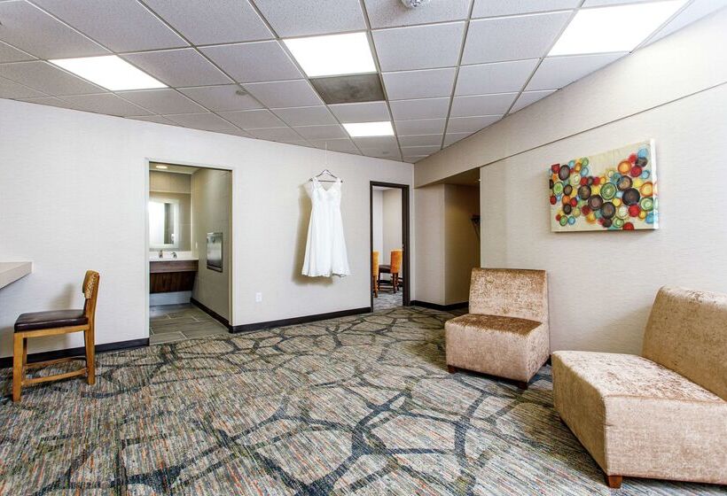 هتل Doubletree By Hilton Appleton