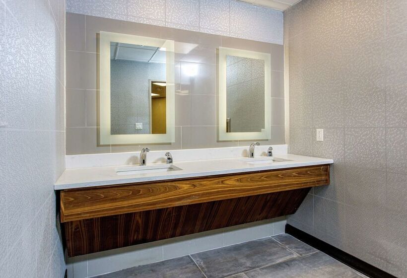 هتل Doubletree By Hilton Appleton