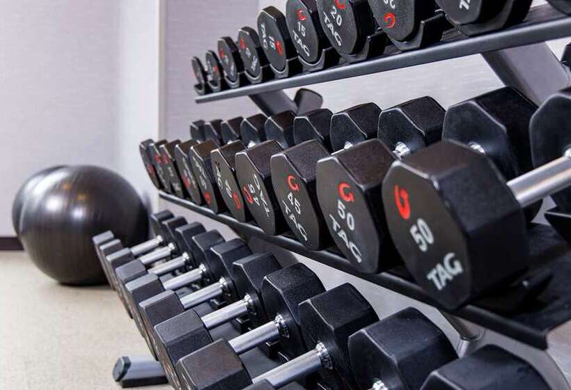 هتل Doubletree By Hilton Appleton