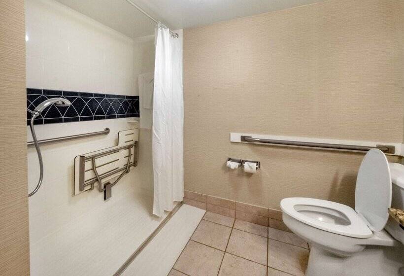 Doubletree By Hilton Hotel Buffalo Amherst