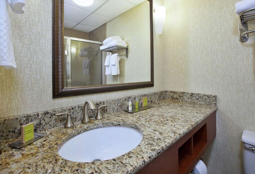 Отель Doubletree By Hilton Holland