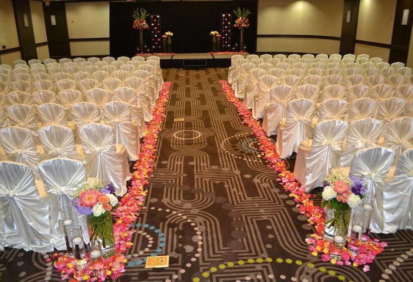 בית מלון כפרי Doubletree By Hilton Houston Hobby Airport