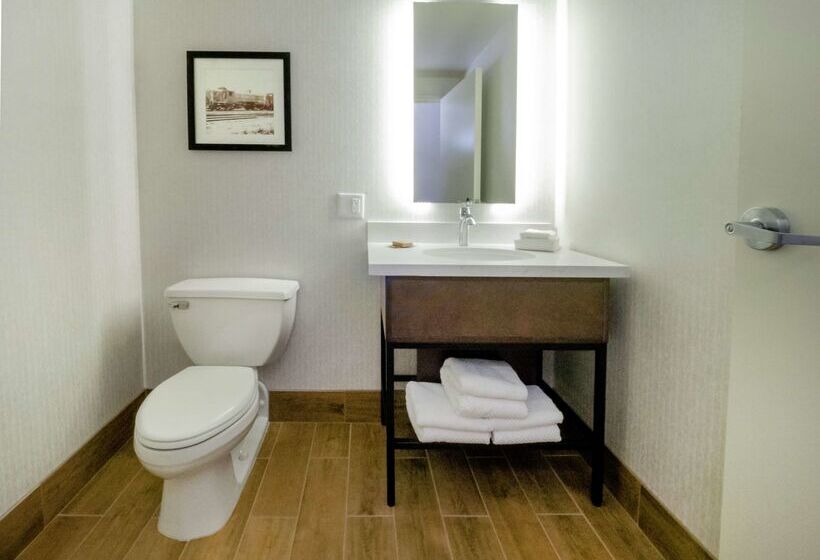 호텔 Doubletree By Hilton Jamestown