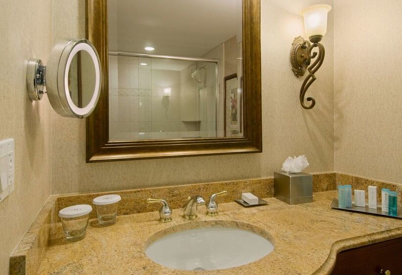 酒店 Doubletree By Hilton Lisle Naperville