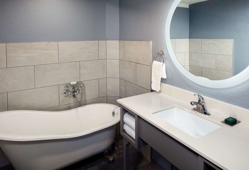 هتل Doubletree By Hilton Phoenix Mesa