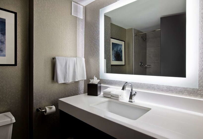 호텔 Embassy Suites Syracuse