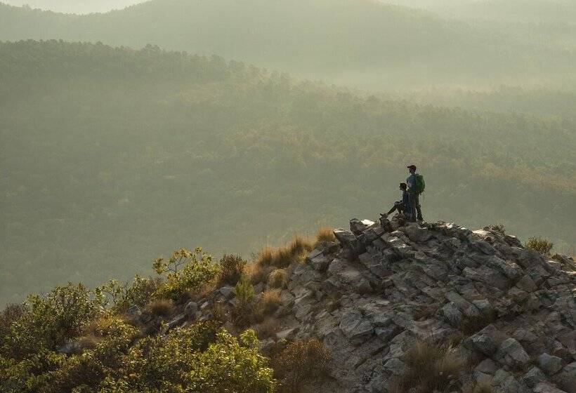 هتل Four Points By Sheraton Little Rock Midtown