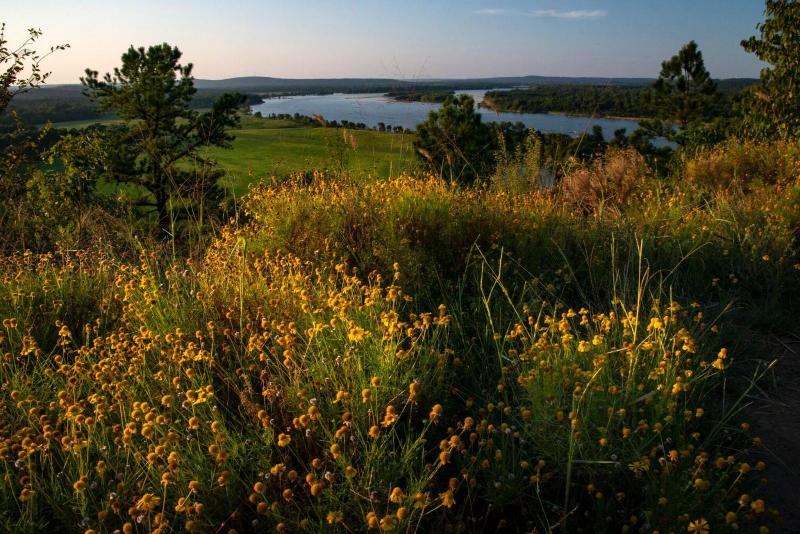 ホテル Four Points By Sheraton Little Rock Midtown