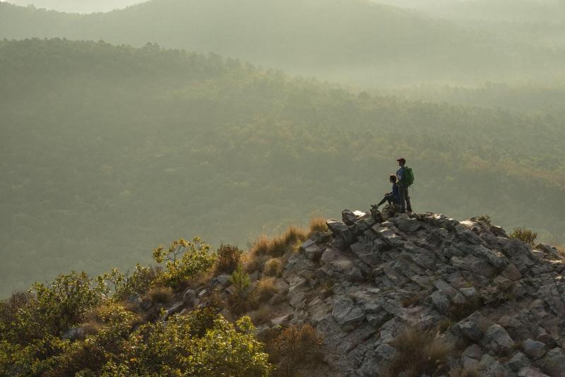 ホテル Four Points By Sheraton Little Rock Midtown