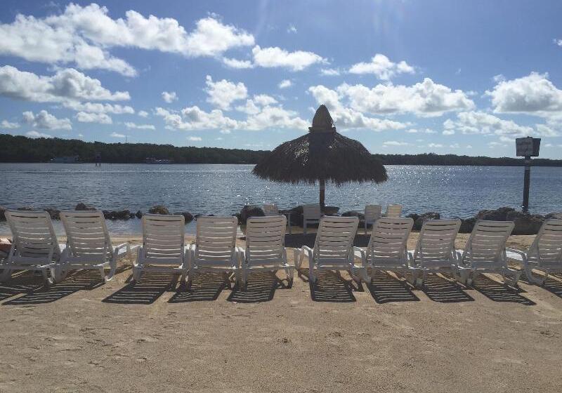 Отель Gilbert's Resort