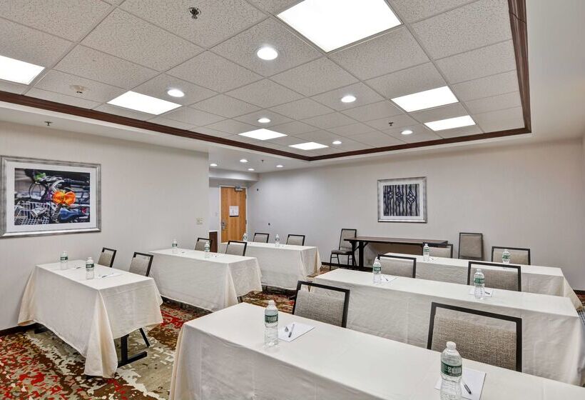 בית מלון כפרי Hampton Inn Albanywolf Road