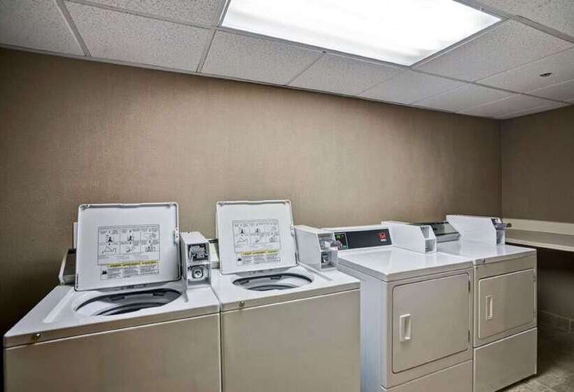 בית מלון כפרי Hampton Inn Albanywolf Road