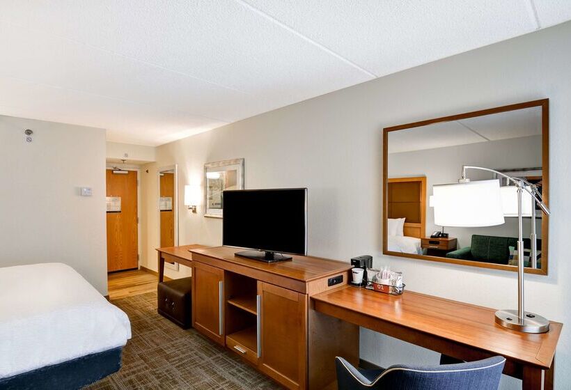 בית מלון כפרי Hampton Inn Albanywolf Road