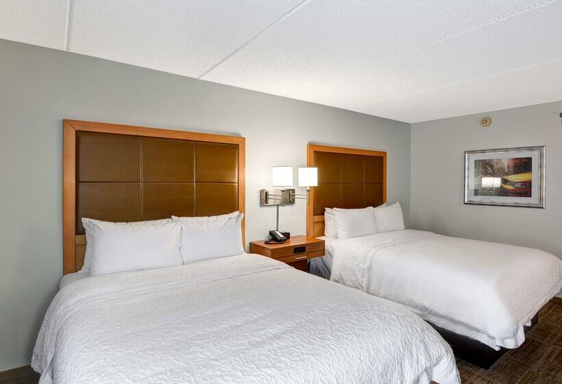 בית מלון כפרי Hampton Inn Albanywolf Road