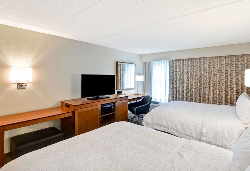 בית מלון כפרי Hampton Inn Albanywolf Road