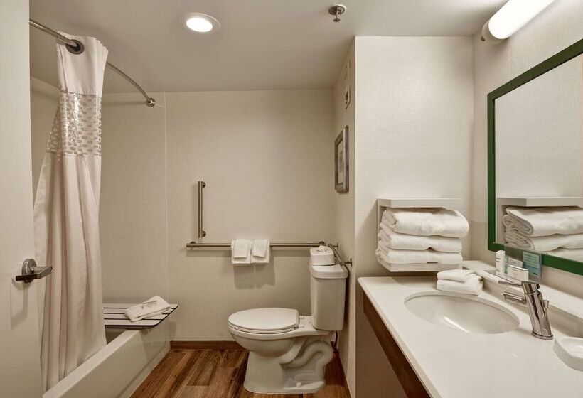 בית מלון כפרי Hampton Inn Albanywolf Road