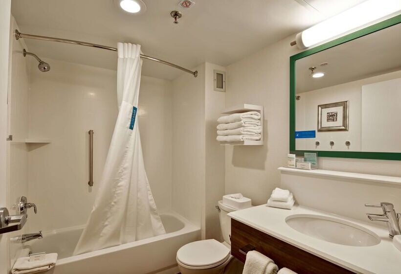 בית מלון כפרי Hampton Inn Albanywolf Road