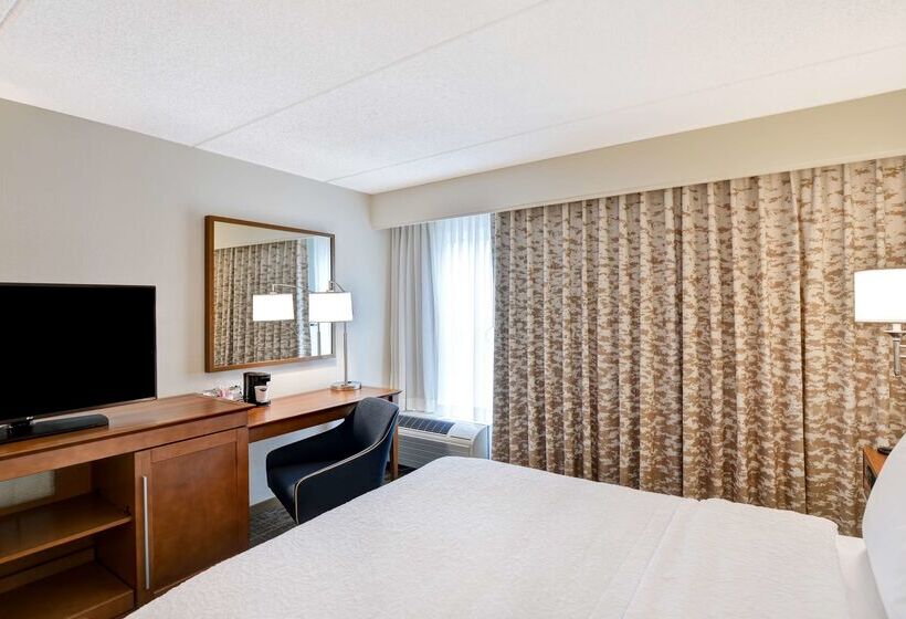 בית מלון כפרי Hampton Inn Albanywolf Road