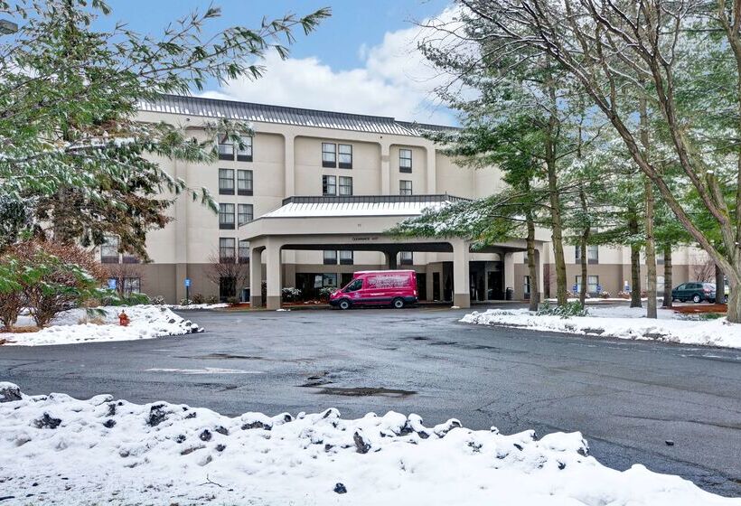 בית מלון כפרי Hampton Inn Albanywolf Road