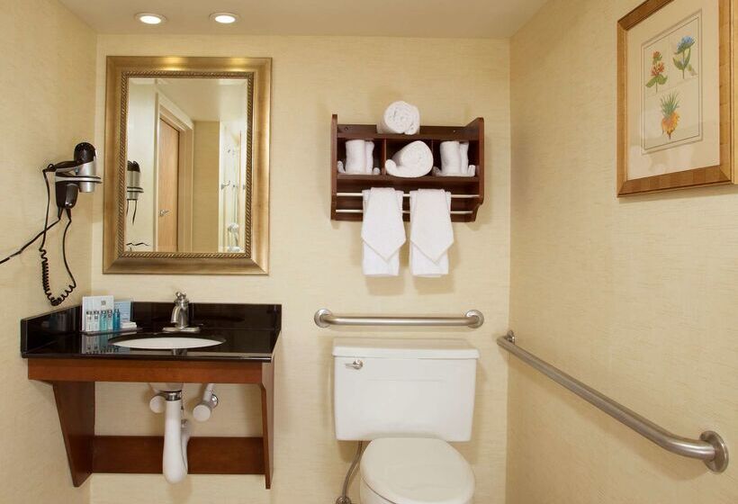 בית מלון כפרי Hampton Inn Alexandria/pentagon South