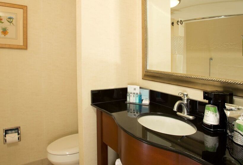 בית מלון כפרי Hampton Inn Alexandria/pentagon South