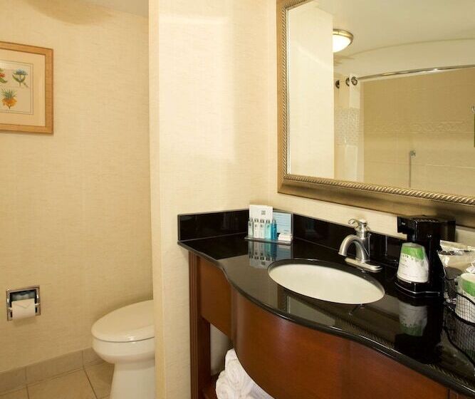 هتل Hampton Inn Alexandria/pentagon South