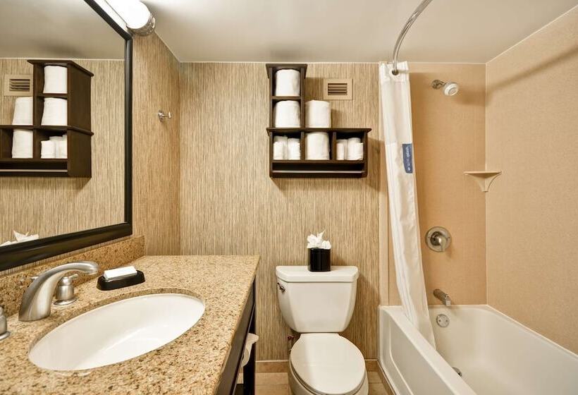 فندق Hampton Inn Chicago/naperville