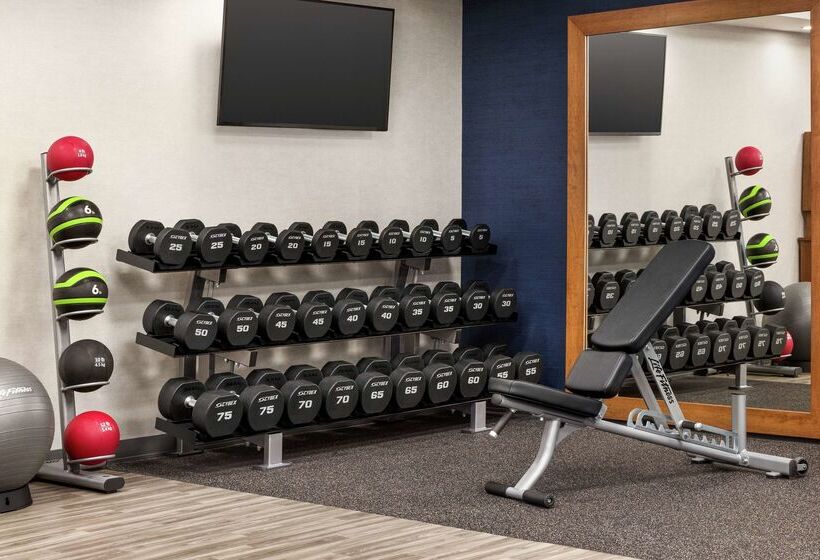 هتل Hampton Inn Chicagoo Hare International Airport