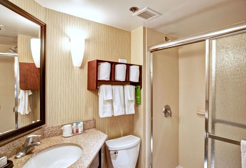 בית מלון כפרי Hampton Inn College Station
