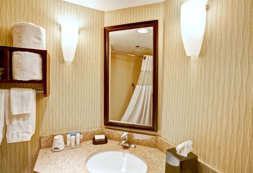 فندق Hampton Inn College Station