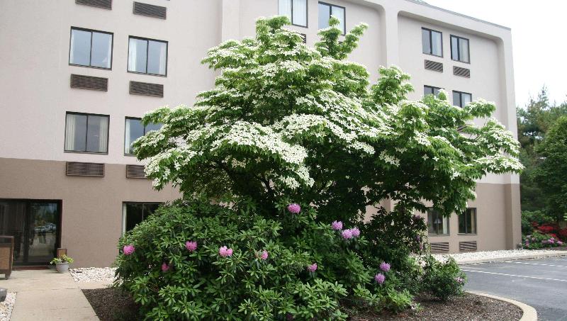 ホテル Hampton Inn Downingtown/exton
