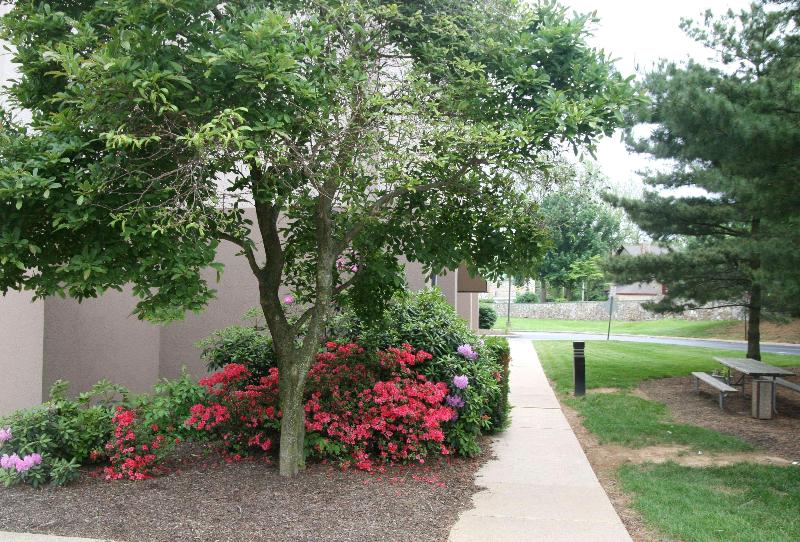 ホテル Hampton Inn Downingtown/exton