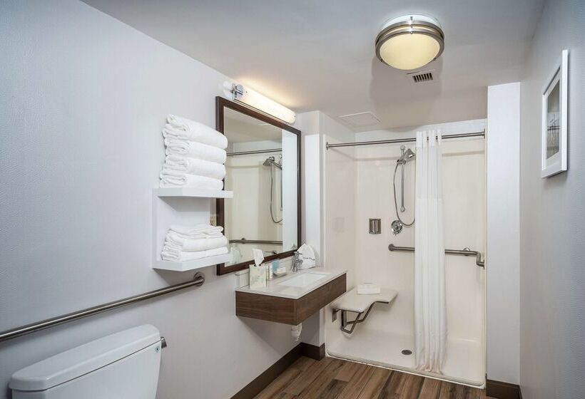 酒店 Hampton Inn Fall River/westport